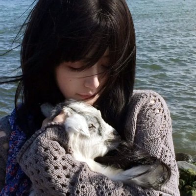 小林家的龙女仆第二季