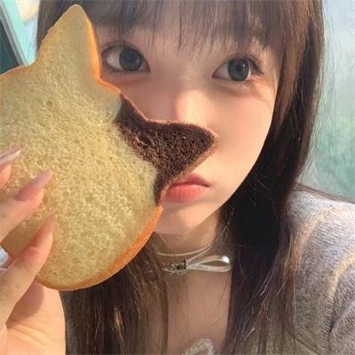 冒险兄弟第四季